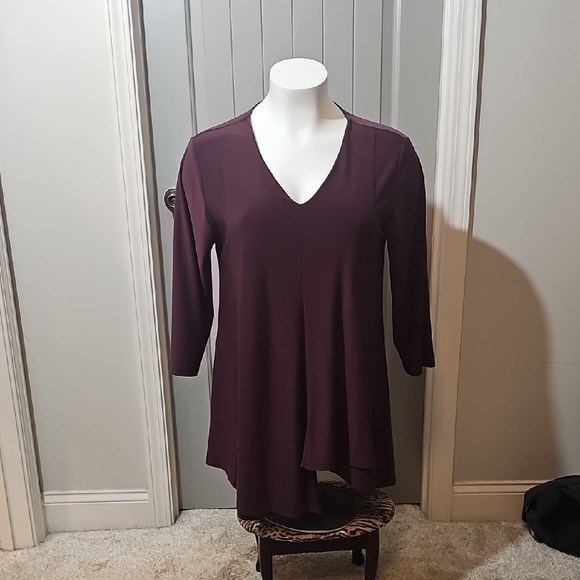 Cato Plum V-Neck Tunic - Picture 1 of 9